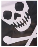 pirate-flag.jpg